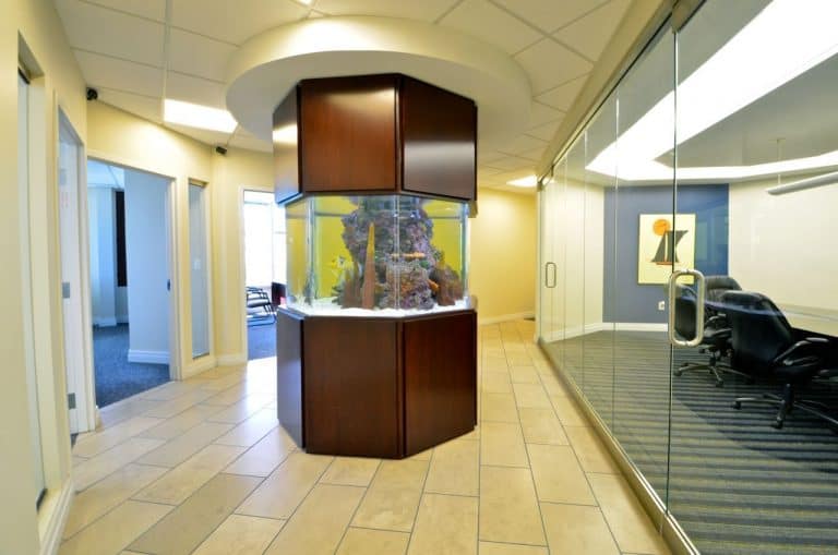 Custom Octagon Aquarium